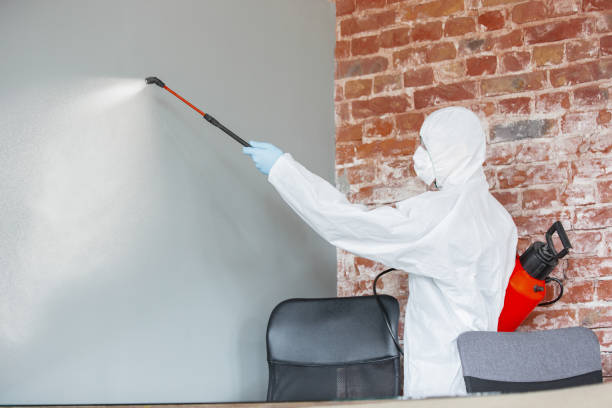 Best Mold Documentation for Insurance Claims  in Lakeview, OR