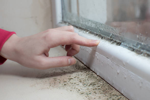 Best Dehumidification Services  in Lakeview, OR