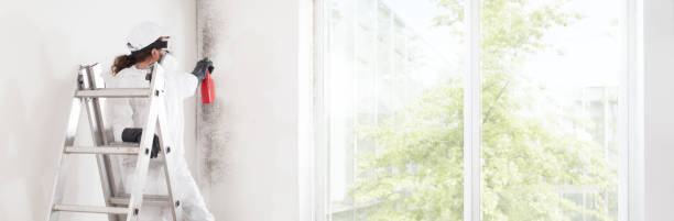 Trusted Lakeview, OR Mold Removal Experts
